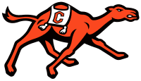 Campbell Fighting Camels Women's Basketball