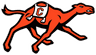 Campbell Fighting Camels Women's Basketball