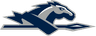Longwood Lancers Women's Basketball