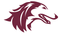 Southern Illinois Salukis Men's Basketball